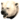 Pristine Polar Bear Head