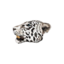 Pristine Snow Leopard Head icon.png