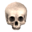 Skull icon.png