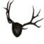 Mounted Stag Antlers.png