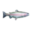 Trout icon.png
