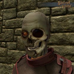 SotA Zombie OneEyed Mask.jpg