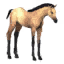 Dun Foal icon.png