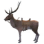 Brown Stag Mount icon.png