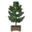 Tabletop Yellow Cedar Tree icon.png