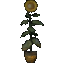 Potted Giant Sunflower icon.png