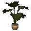 Medium Potted Chusan Palm icon.png