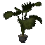 Large Potted Chusan Palm icon.png