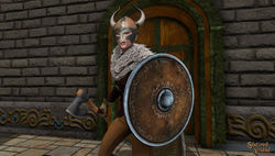 SotA Viking Brynhildr Shield.jpg