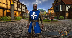 Sota-heraldry-tabard-cloth-armor.jpg