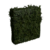 Tall Medium Hedge.png