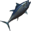 Bluefin Tuna icon.png