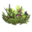 Royal Elderberry Bush icon.png