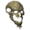 Skeleton Bone - Shroud of the Avatar Wiki - SotA