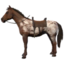 Appaloosa Horse Mount icon.png