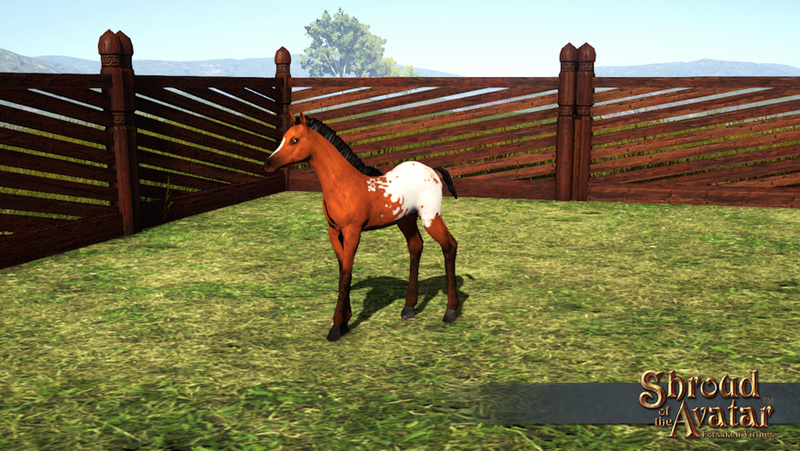 SS Foal Deco Pet Blanket overlay.png