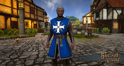 Sota-heraldry-tabard-chain-armor.jpg