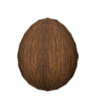 Coconut - Shroud Of The Avatar Wiki - Sota