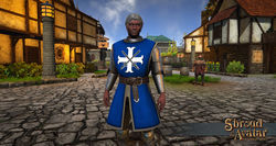 Sota-heraldry-tabard-plate-armor.jpg