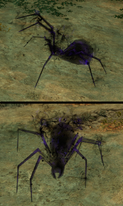 Vigorem Cavas.png