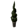 Hedge Spiral Tree - Shroud of the Avatar Wiki - SotA