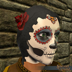 SotA DoD Colorful Mask Veil.jpg