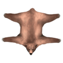 Brown Bear Skin Rug - Shroud of the Avatar Wiki - SotA