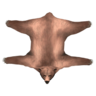 Brown Bear Skin Rug - Shroud of the Avatar Wiki - SotA