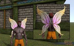 SotA Fairy Wings.jpg