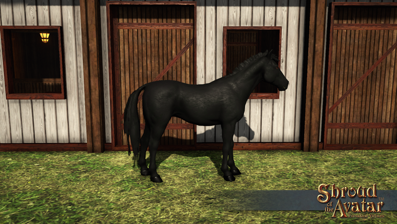 SS Horse Deco Pet Black overlay.png
