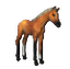 Palomino Foal icon.png