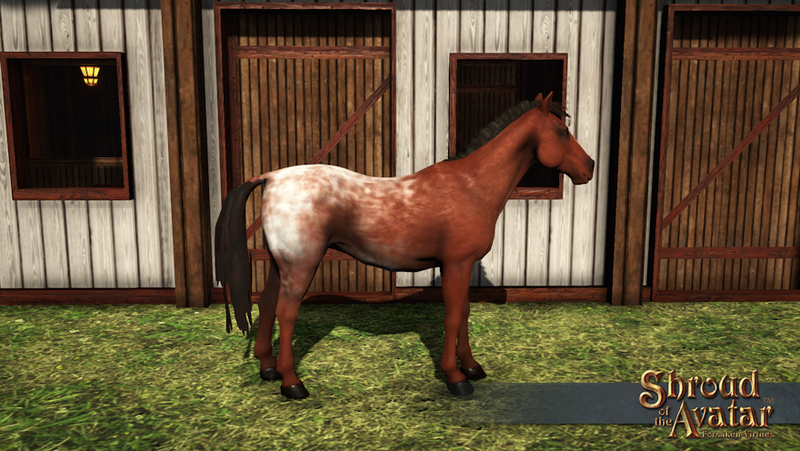 SS Horse Deco Pet Blanket overlay.png