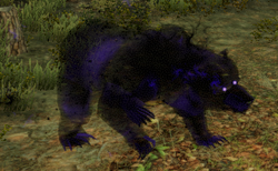 Onus Cavas.png