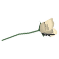 Thumbnail for version as of 18:29, 13 May 2026