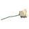White Rose