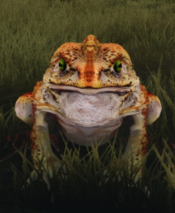 Pale frog.png