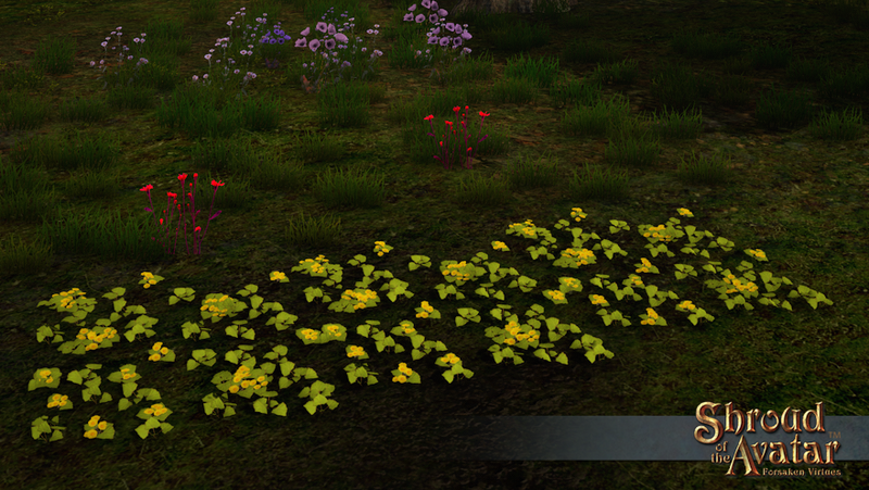 SS Sparse Flowering Foalfoot Paver Set overlay.png