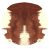 Animal Hide - Shroud of the Avatar Wiki - SotA