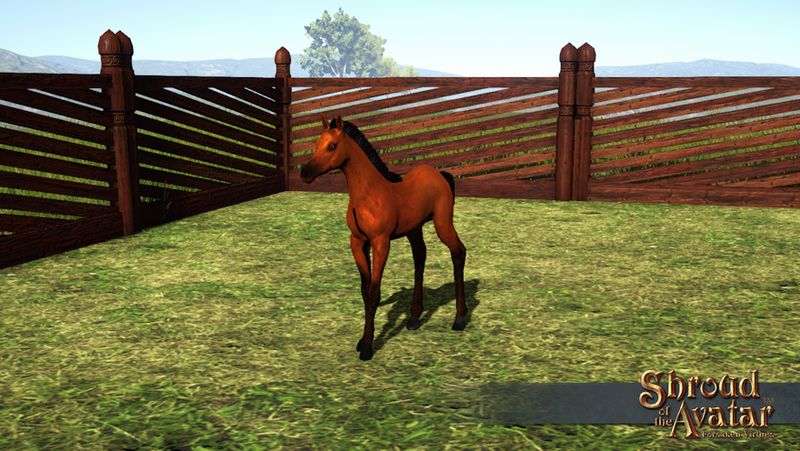 SS Foal Deco Pet Bay overlay.png