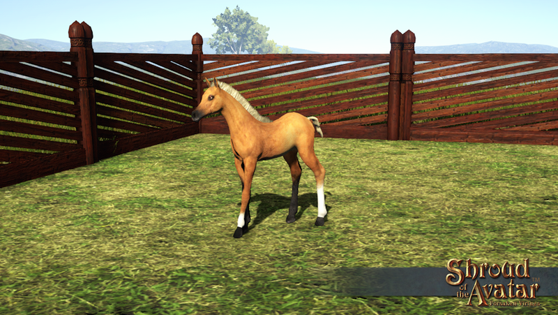 SS Foal Deco Pet Palomino overlay.png