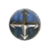 Viking Tyr Shield icon.png